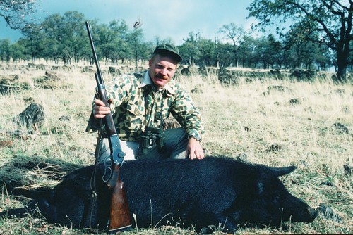 Winchester 71 .348 wild hog hunt