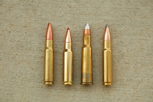 Medium bore hog cartridges