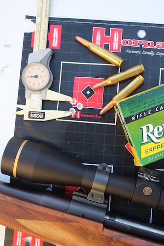 target practice, range shooting, target shooting, Remington
